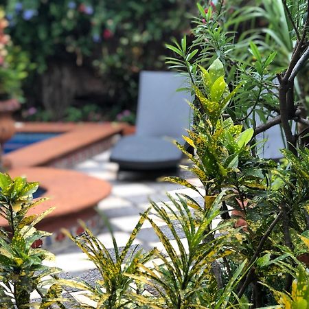 Casa Del Sol Inn Ajijic Luaran gambar