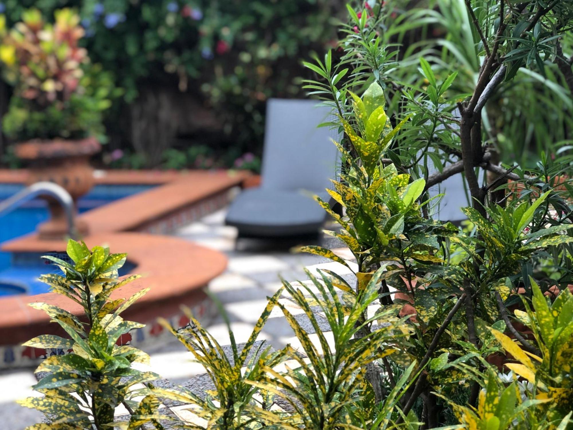 Casa Del Sol Inn Ajijic Luaran gambar